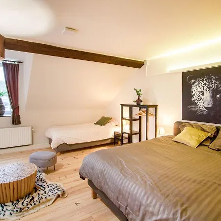 Castle With Wellness And Cinema Holiday home Gesves