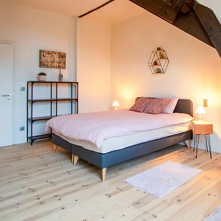 Castle With Wellness And Zipline * Gesves