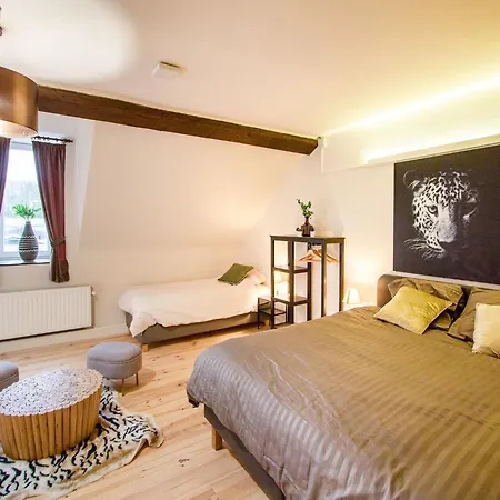 Castle With Wellness And Zipline